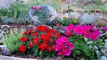 Apartment in Babino Polje for 4 Guests