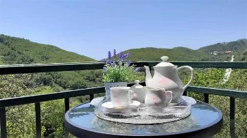 Apartment in Babino Polje for 4 Guests