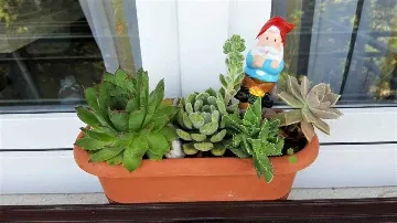 Apartment in Babino Polje for 4 Guests