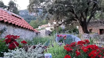 Apartment in Babino Polje for 4 Guests