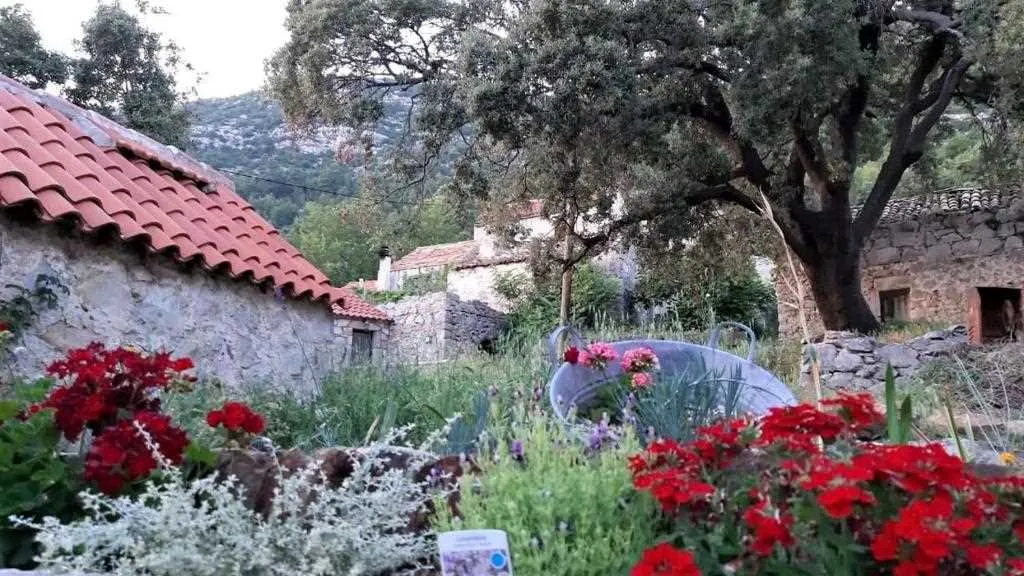 Apartment in Babino Polje for 4 Guests