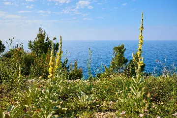 Apartment for 2 Guests with Balcony in Babino Polje