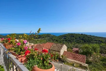 Babino Polje Apartment for Up to 5 Guests