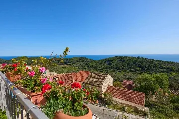 Babino Polje Apartment for Up to 5 Guests