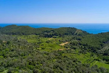 Country House for 4 Guests in Babino Polje