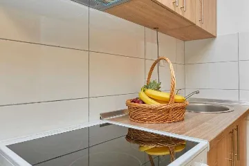 Tiny Mobile Home with Terrace in Babino Polje