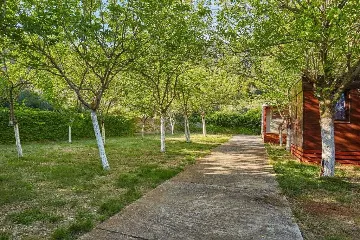 Mobile home in Babino Polje for up to 3