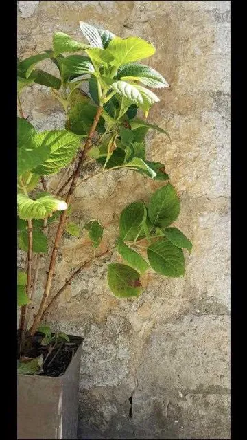 Country House in Prožura for Up to 5 Guests