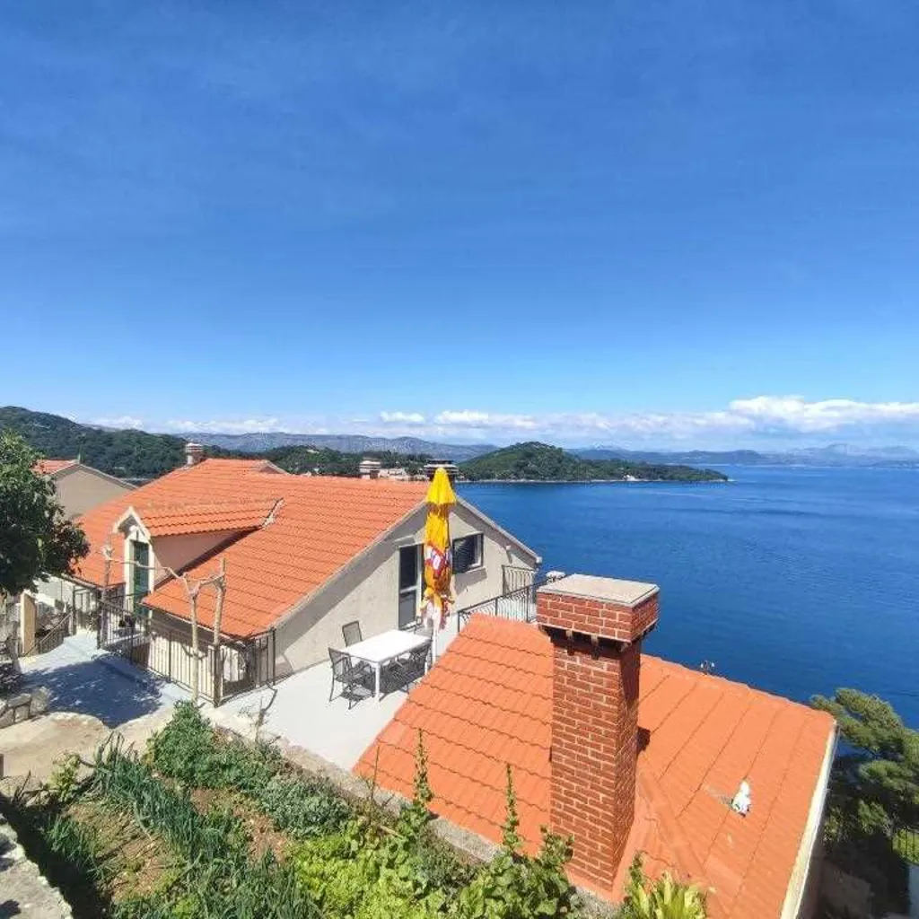 1-Bedroom Apartment for 2 Guests in Babino Polje