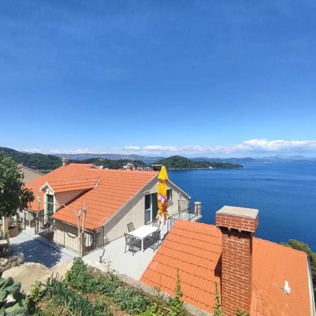 1-Bedroom Apartment for 2 Guests in Babino Polje
