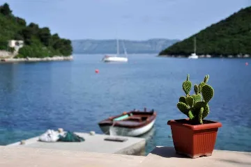 3-Bedroom Apartment in Prožura with Sea-View Terrace