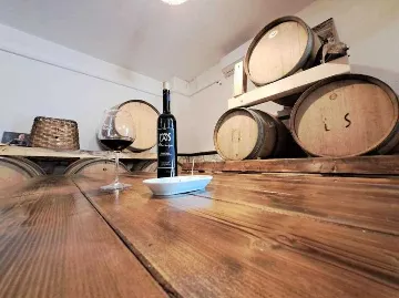 4-Bedroom Apartment in Ston for Up to 8