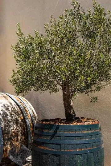 4-Bedroom Apartment in Ston for Up to 8