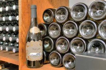 4-Bedroom Apartment in Ston for Up to 8