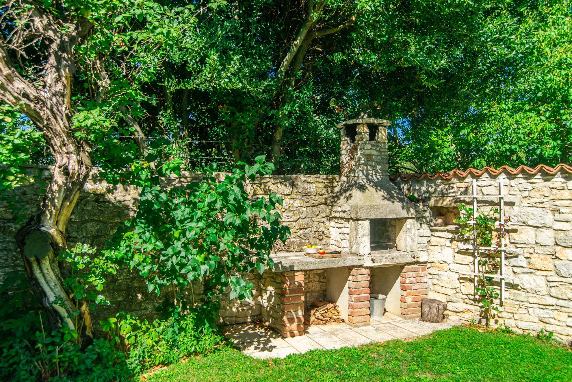 Casa Apricot