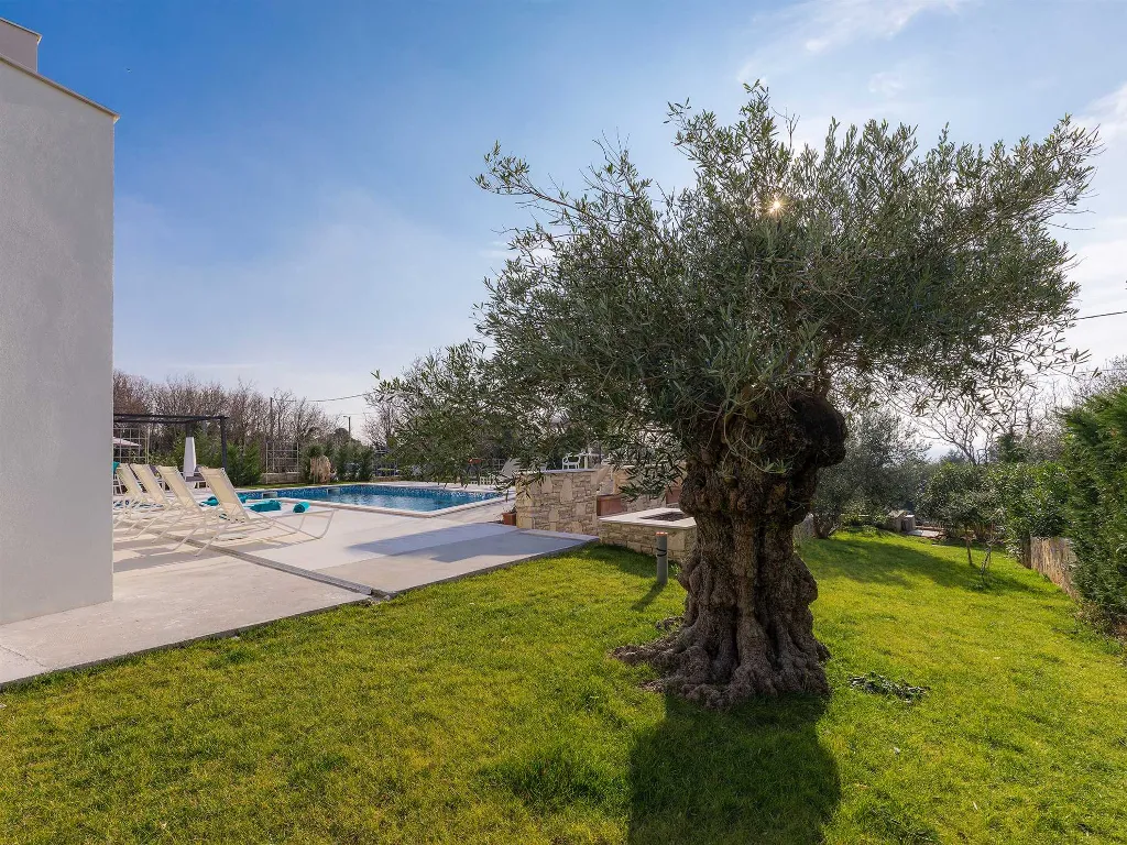 3-Bedroom Villa with Private Pool in Koromačno
