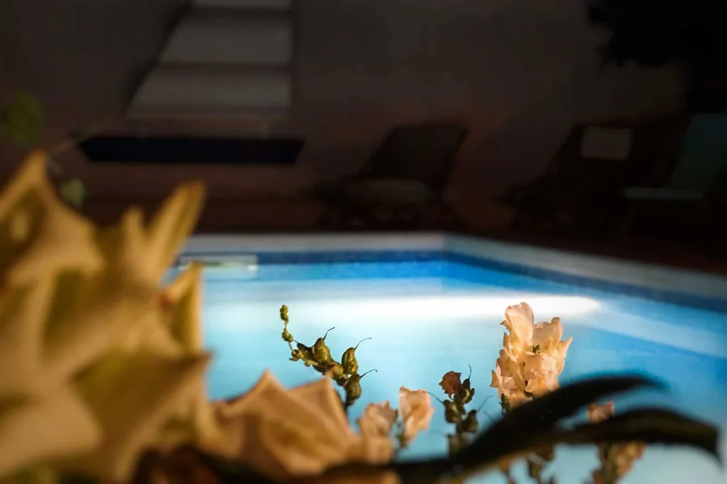 Villa with Private Pool for 10 Guests in Povlja