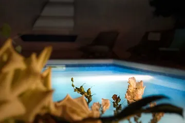 Villa with Private Pool for 10 Guests in Povlja