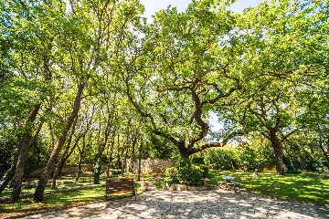 4-Bedroom Villa with Private Heated Pool in Čilipi