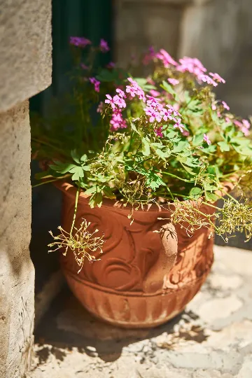 1-Bedroom Apartment in Opatija for Up to 3 Guests