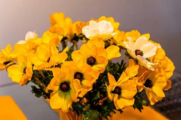 Zagreb Apartment with Loggia for Up to 3 Guests