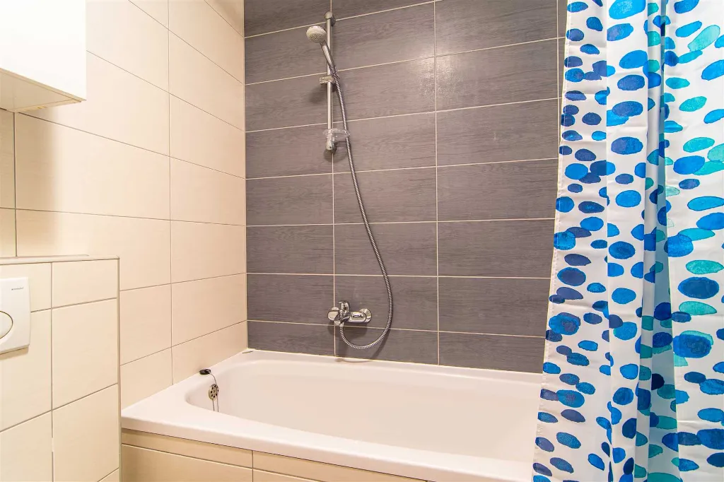 Apartment in Zagreb for up to 4 guests
