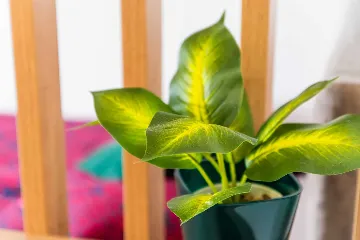 Zagreb Apartment for Up to 4 Guests