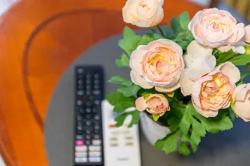 Zagreb 1-Bedroom Apartment for Up to 4 Guests