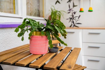 Compact 2-Person Apartment in Zagreb