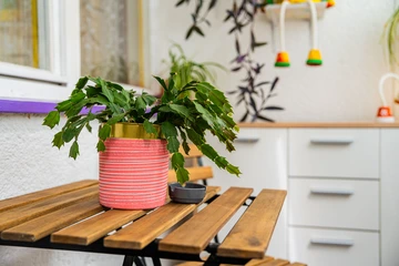 Compact 2-Person Apartment in Zagreb