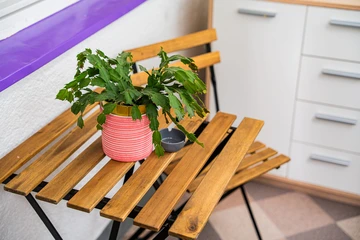 Compact 2-Person Apartment in Zagreb