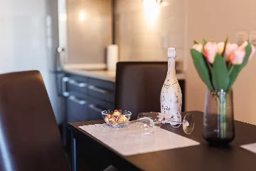 1-Bedroom Apartment in Zagreb for Up to 4