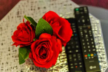 Zagreb 1-Bedroom Apartment for Up to 4 Guests