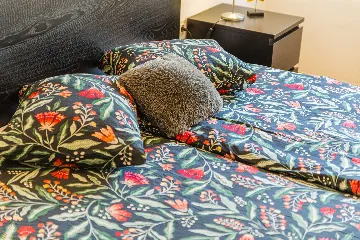 3-Bedroom Apartment in Zagreb with Balconies