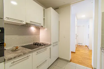 1-Bedroom Apartment in Zagreb for Up to 4