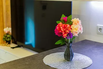 Zagreb City Center Apartment for Up to 4 Guests