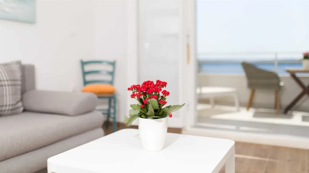 Jelsa 1-Bedroom Apartment for 2 Guests