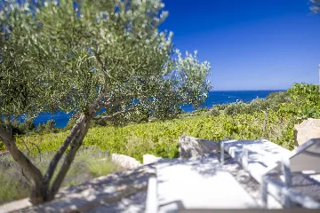 1-Bedroom Apartment in Jelsa for 2 Guests