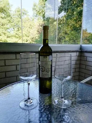 Air-Conditioned Studio Apartment in Zagreb