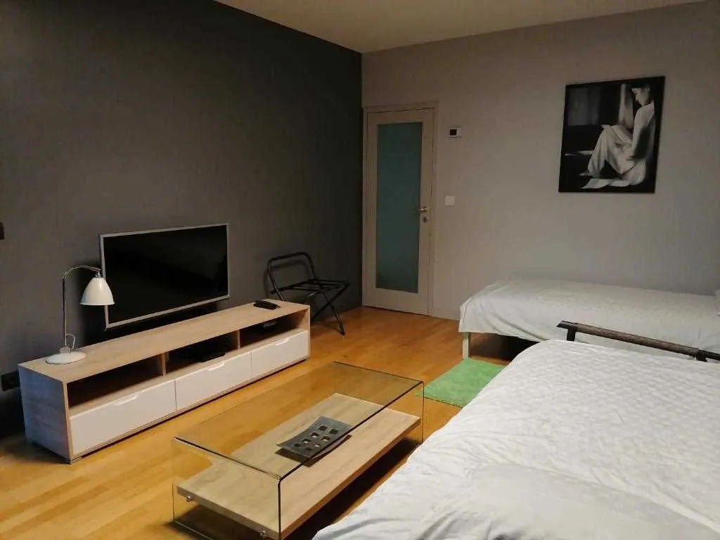 Air-Conditioned Studio Apartment in Zagreb
