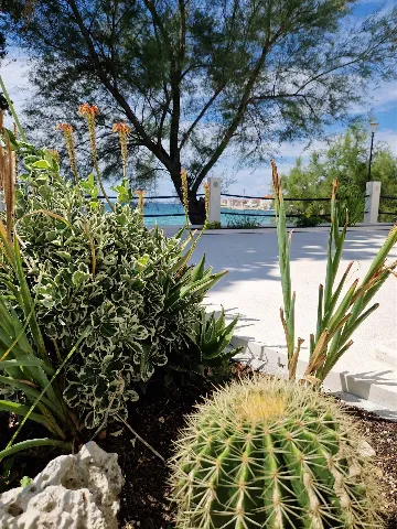 Bibinje Apartment for 4 Guests with Sea Views