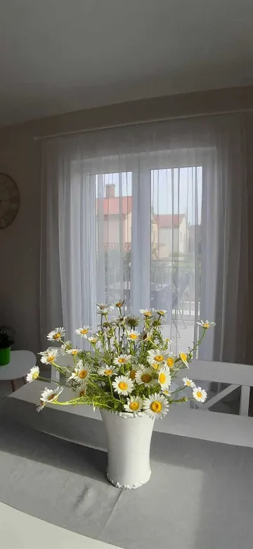 Pula Apartment for 4 Guests with Pool