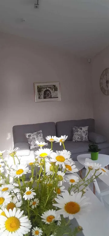 Pula Apartment for 4 Guests with Pool