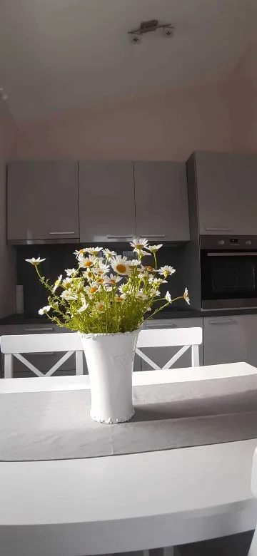 Pula Apartment for 4 Guests with Pool