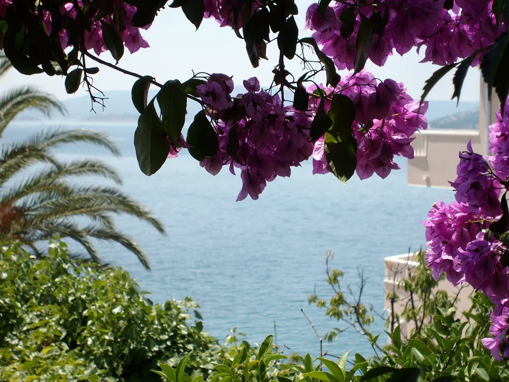 Two bedroom apartment with terrace and sea view Seget Vranjica, Trogir  A-a