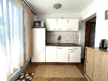 1-Bedroom Apartment for 3 Guests in Umag