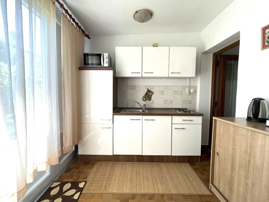 1-Bedroom Apartment for 3 Guests in Umag