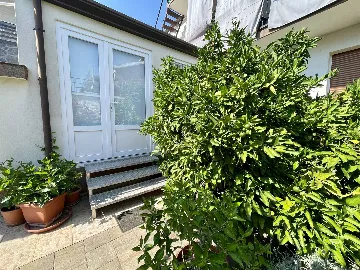 1-Bedroom Apartment for 3 Guests in Umag