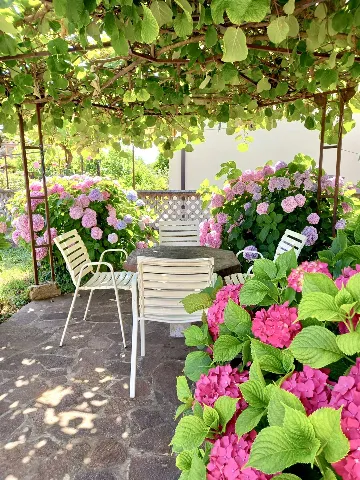 2-Bedroom Apartment in Umag for Up to 5