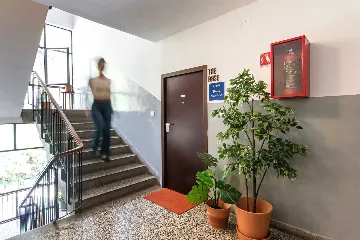 1-Bedroom Apartment for 2 Guests in Dubrovnik